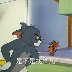全世界都是美女吗