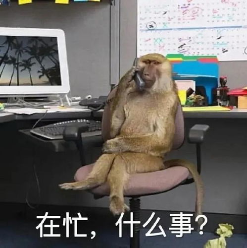 表情包幸福就是所有的碎碎念都有了归处