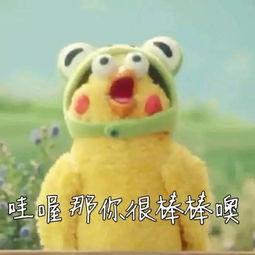 表情包ba鹦鹉兄弟