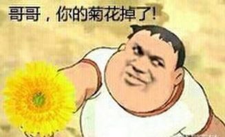 恶之花表情包图片写真