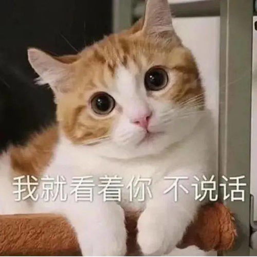 救命我家猫好像热衷于铁锅炖自己