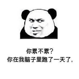 说情话的套路表情包说情话的套路表情包高清无水印极光下载站