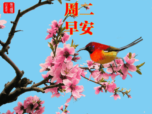 2022周二群发清晨早安问候语动态表情图片冬天漂亮早上好问候语祝福温馨图片
