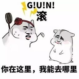表情包是我偷来的,想撩你是认真的