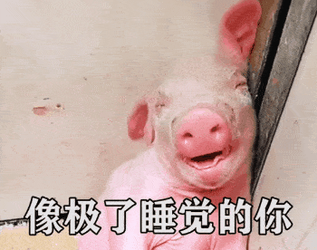 抖音最火表情包分享