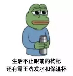 微信表情解释图片大全解释