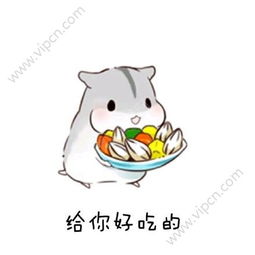 老婆我错了仓鼠表情包下载老婆我错了仓鼠表情包软件下载v1.0下载清风安卓软件网
