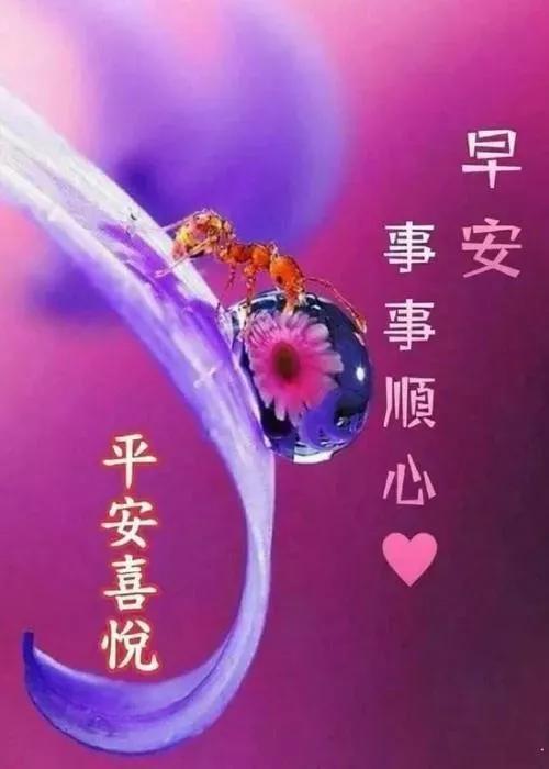 早上好动图表情2020年早上好动图表情包微信