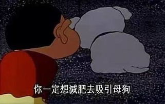 我是废物,爷就是废物杰尼龟表情包废物杰尼龟就是表情