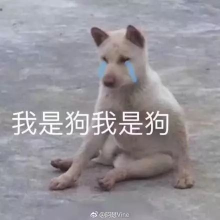 每日吸丨你们是沙雕嘛
