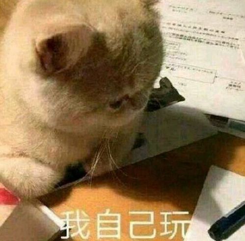 在干嘛呢搞笑表情包男朋友