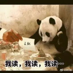 研究生开学第一课院长导师学长学姐跟你谈谈心