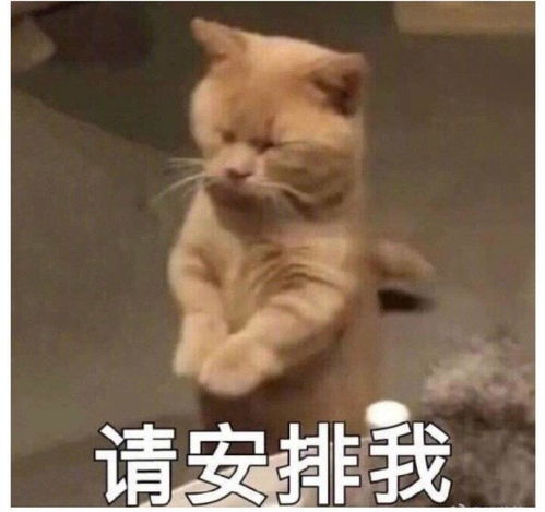 求推荐古风歌手