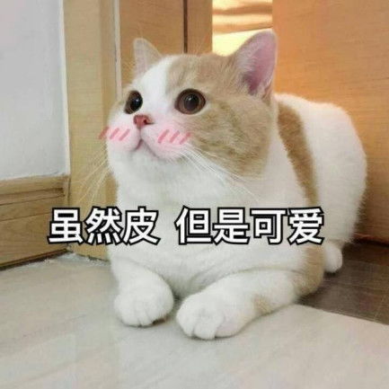 复盘了过去16年想要每年正收益,到底有多难