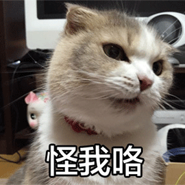 当什么都做不好时,你应该这样