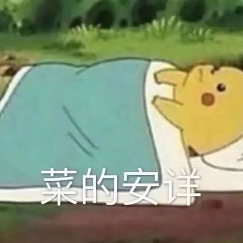 入坑了超级柴政续续点灯一段情我最近真的在发疯