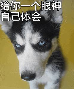龙岩的朋友注意被称为今年2017年首个真正的大台风即将登陆