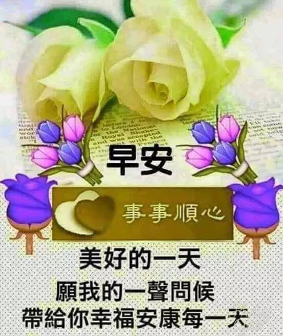 大年十二最暖心微信早晨好漂亮表情图片祝福语,最美清晨早上好鲜花图片问候