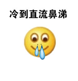 冷的表情天冷了,你妈叫你穿秋裤