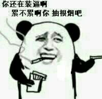 嘲讽手机拍屏的表情包