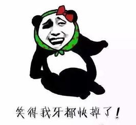 这部电视剧有魔力我竟然愿意看李小璐和张译互怼相依日常100集搜狐