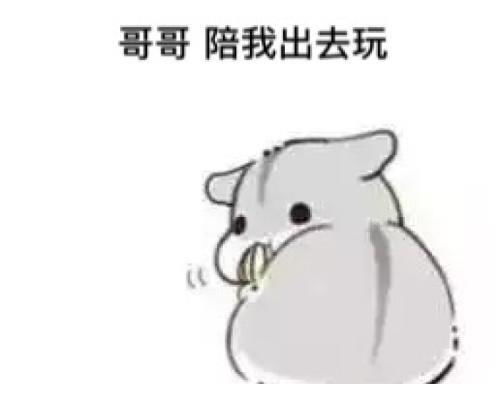 搞笑段子统一考试,校长很担心学校的成绩