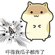 仓鼠吓的我瓜子都掉了表情包求