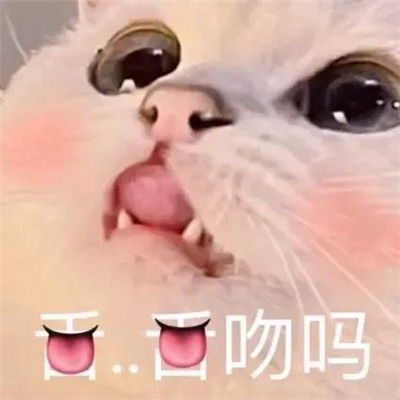 实用有趣表情包2022最新可爱超级热门的趣味聊天表情合集