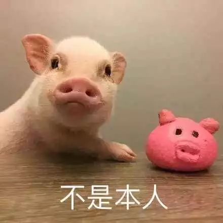 你在刚出国时闹过哪些笑话抱歉,我又没忍住