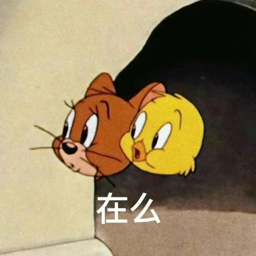 猫和老鼠弹吉他表情包