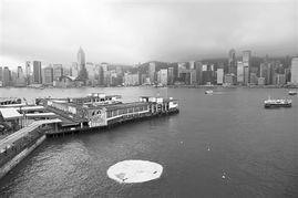 香港维港小黄鸭漏气变鸭蛋黄主办方例行检查图