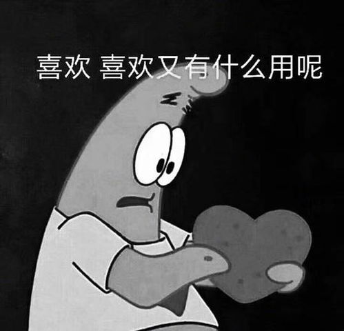 yaya的相册表情包合集