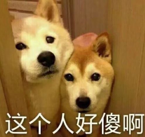 麦田抱抱表情图片大全