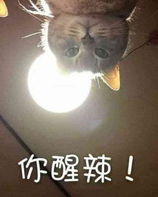 醒了吗表情图表情