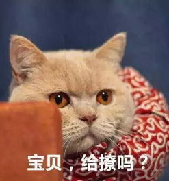 逆天改命的美白大法赶紧私藏起来这个夏天让你白成反光板
