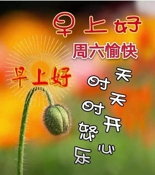 早上好问候祝福动态表情图片最新早安问候语动态图片表情