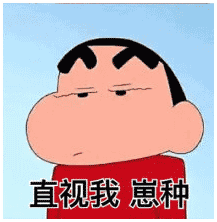 蜡笔小新直视我崽种