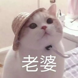 哄男女朋友专用表情包