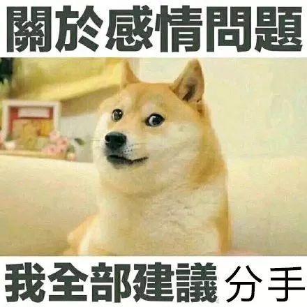 神回复情侣之间突然没话题了怎么办哈哈哈,一开口就是老单身了