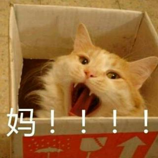 在线收听yuri荔枝
