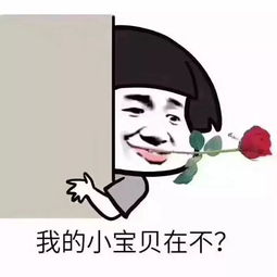 南乐最新娶媳妇价目表出炉答应我,看完不要哭