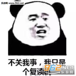 不关我事我只是个复读机表情包品如的衣柜都被你翻遍了表情包图片下载乐游网游戏下载