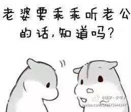 男朋友道歉表情包