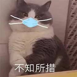 企鹅体育携手女子明星跑团,邀您一同围观俪量客厅训练营