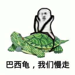 皮皮虾我们走到底啥意思