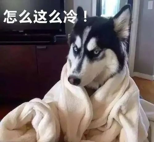 据说除夕前有短暂的晴好天气来了解下