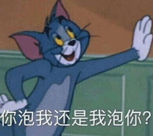 表情包想泡我可以,先磕个头