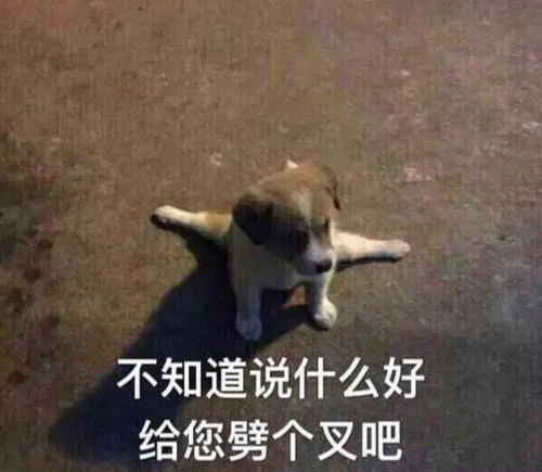 职校学生未毕业被抢空网友请不要自欺欺人