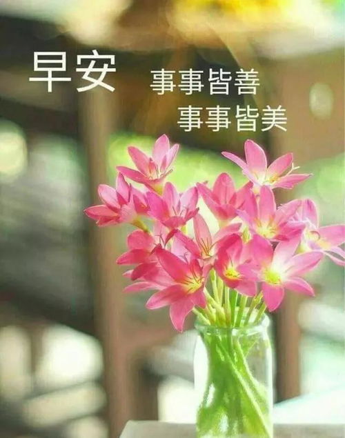 新出的早安问候祝福表情包早安问候语带图片