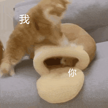 抖音热门表情包